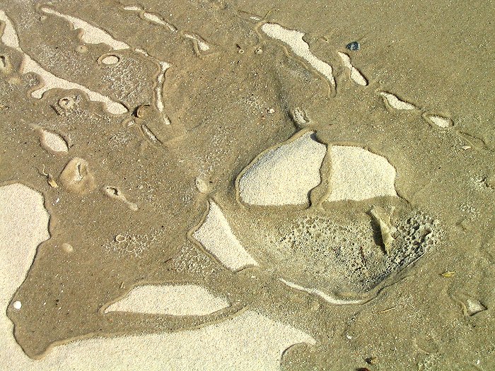 Nasser Sand