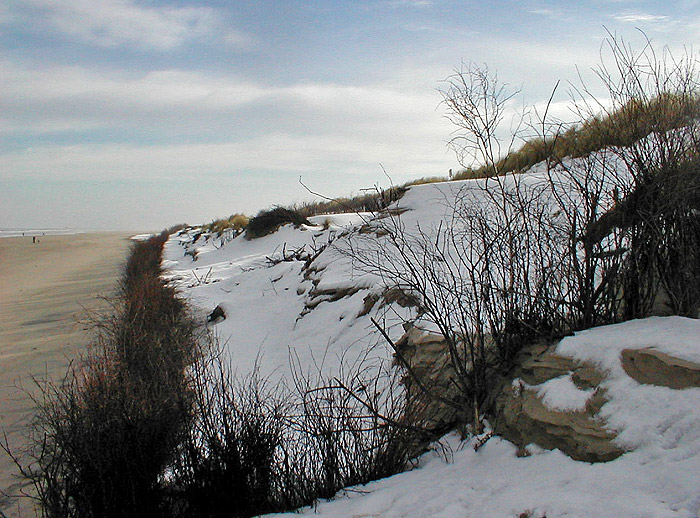 Dünen und Strand im Winter