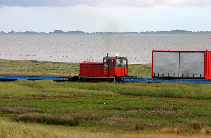 Güterzug mit Faur-Lok