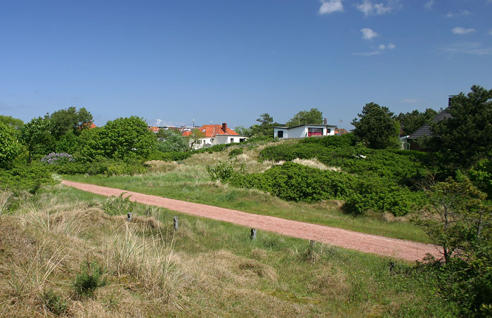 Blick von der Aussichtsdüne zum Hexenberg
