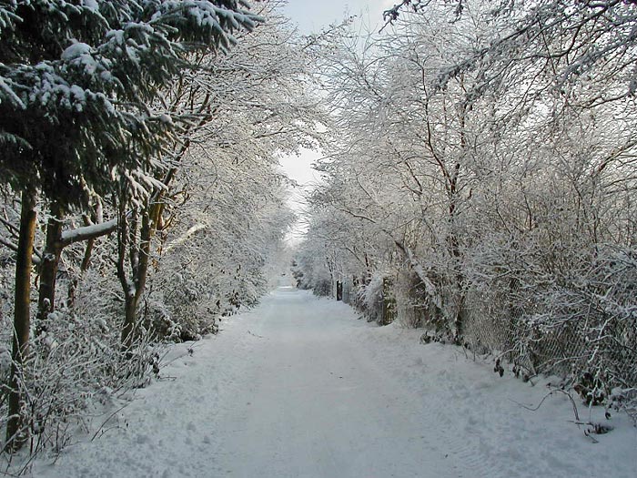 Schneestraße