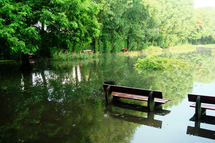 Überfluteter Rosengarten