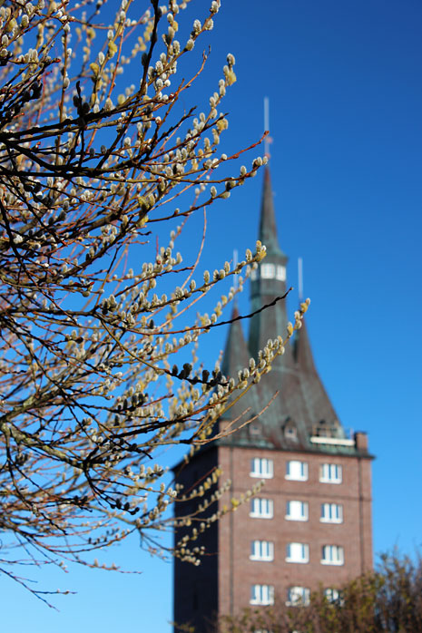 Westturm vom Westturm-Café aus gesehen