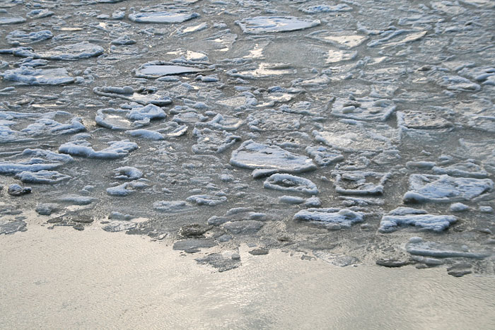 Eisschollen im Hafenbecken