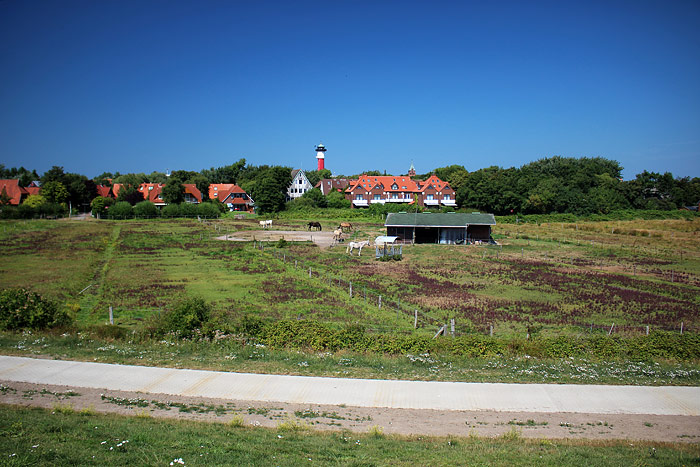 Inselhof Wangerooge im Dorfgroden