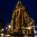 Weihnachtsbaum auf dem Appellplatz