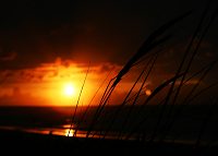 Sonnenuntergang am Strand
