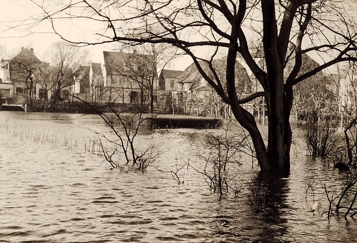 Sturmflut 1962. Der Rosengarten