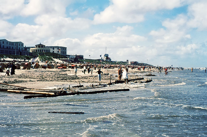 Strandgut am Hauptstrand