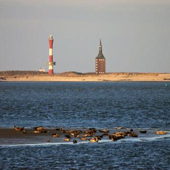 Seehundsbank. Foto &copy; Erik Kohl 2006