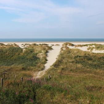 Dünenüberwegung im Osten. Foto © Erik Kohl 2014