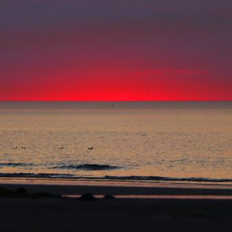 Abendlicht. Foto &copy; Jennifer Beckmann 2020