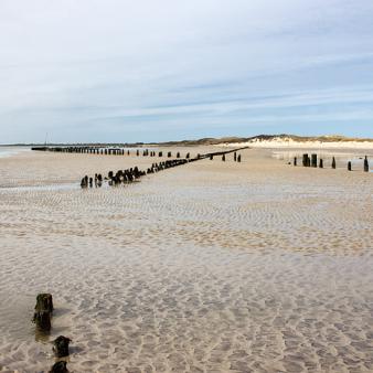 Pf&auml;hle im Osten. Foto &copy; Erik Kohl 2021