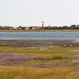 Salzwiesen, Wattenmeer und Dorf. Foto &copy; Jennifer Beckmann 2018