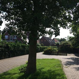 Wendekreis im Damenpfad. Foto © Erik Kohl (2017) Wendekreis im Damenpfad. Foto © Erik Kohl 2017