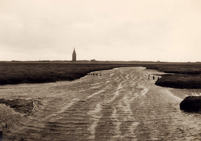 Lagune im Westaußengroden