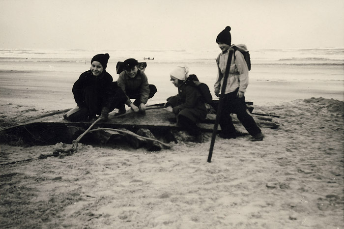 Holzreste am Strand