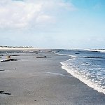 Strandgut nach dem Sturm