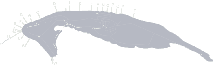 Übersicht: Die Wangerooger Buhnen