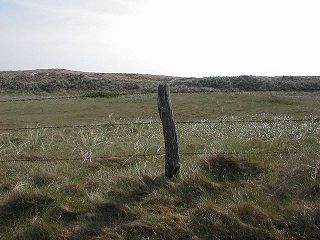A03504