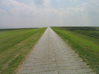 A05983