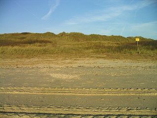 A06391